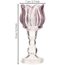Artikel Teelichthalter Glas Tulpe Lila H16 cm Ø7 cm 2er Set