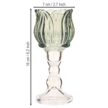 Artikel Teelichthalter Glas Tulpenform Grün Ø7cm H16cm 2 Stück