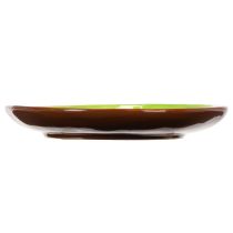 Artikel Teller aus Keramik Kiwi-Motiv Ø 16 cm 2er-Set