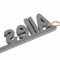 Geschenkanhänger Schriftzug 6-10cm 24St sortiert