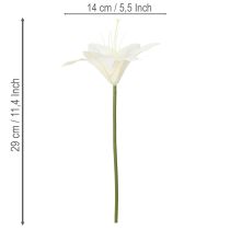 Artikel Künstliche Tigerlilie Weiß Bund 6 Stück 29 cm für Innenbereich