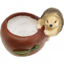 Artikel Keramik Pflanzgefäß Apfelform mit Igel, Ø16 cm, H22 cm, B33 cm, Herbstdeko, rot-braun