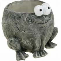 Topfgefäß Frosch mit Lächeln grau 11x12cm