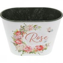 Artikel Pflanzgefäß Kunststoff mit Rosendekor 19x12x12,5cm Weiß