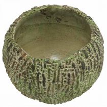Artikel Übertopf Beton Antik-Look rund Ø15,5cm Grün Braun