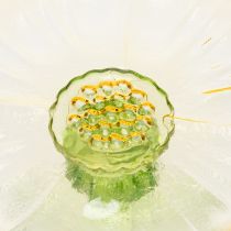 Artikel Dekoteller Glas mit Fuß Blume 15cm Gelb-Grün für Innen