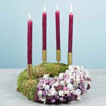 Artikel Trockenblumen Broom Bloom Gebleicht 140g