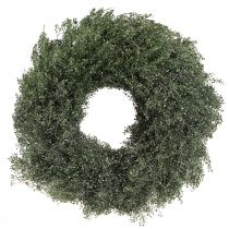 Artikel Trockenblumen Kranz Grün Metallic Lepidium Deko Ø33cm
