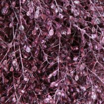 Artikel Dekokranz Trockenblumen Metallic Lila Lepidium Ø33cm für Wohnraum