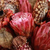Artikel Trockenblumen Mix Pink Proteen Artischocke Mohn 38cm 580g