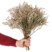 Artikel Strandflieder Trockenblume Natur gebündelt 1 kg