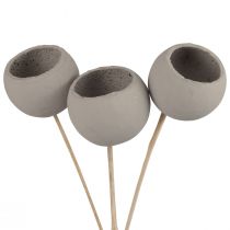 Artikel Trockenblumen Deko Bell Cups am Stiel Grau 37cm 3 St