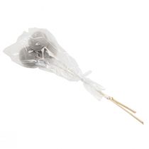 Artikel Trockenblumen Deko Bell Cups am Stiel Grau 37cm 3 St