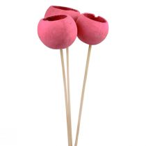Artikel Trockenblumen Deko Bell Cups am Stiel Pink 42cm 3 St