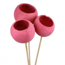 Artikel Trockenblumen Deko Bell Cups am Stiel Pink 42cm 3 St