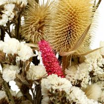 Trockenblumenstrauß Strohblumen Strauß Distel 40–45cm