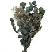 Trockenblumenstrauß Eukalyptus Schleierkraut Konserviert 50cm Grün