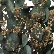 Artikel Trockenblumenstrauß Eukalyptus Schleierkraut Konserviert 50cm Grün