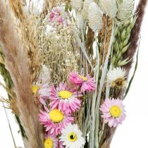 Trockenblumenstrauß Gras Phalaris Strohblumen Pink 60cm 110g