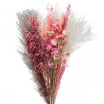 Trockenblumenstrauß Rosa Weiß Phalaris Sterndolde 80cm 160g