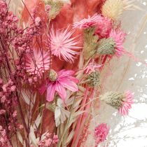 Trockenblumenstrauß Rosa Weiß Phalaris Sterndolde 80cm 160g