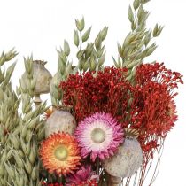 Trockenblumenstrauß Strauß Wiesenblumen Rot H50cm 150g