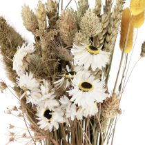 Artikel Trockenblumenstrauß Strohblumen Phalaris Weiß Gelb 30cm