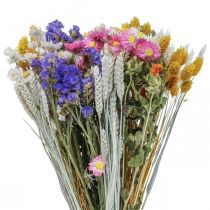 Trockenblumenstrauß Strohblumen Strandflieder Phalaris Getreide 55cm