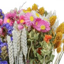 Trockenblumenstrauß Strohblumen Strandflieder Phalaris Getreide 55cm