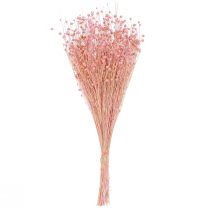Artikel Trockengras Flachs Bund 50-55cm Hellrosa 80g Dekoration