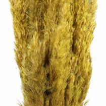 Artikel Trockengras Riedgras Deko getrocknet Gelb 70cm 10 St