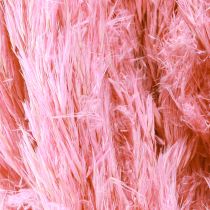 Artikel Trockengras Riedgras getrocknet Dekogras Rosa 70cm 10 St