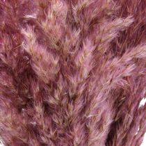 Trockengras Riedgras getrocknet Dekogras Rosa 70cm 10St