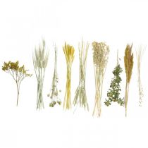 Artikel Trockenblumen-Set Gelb Naturfarben 60cm für Strauß und Kranz