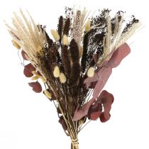 Trockenstrauß Eukalyptus Trockengräser Strauß 60cm 120g