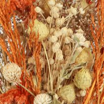 Artikel Trockenstrauß Distel Schafgarbe Orange Gebleicht 55cm 150g
