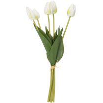 Artikel Künstliche Tulpen, Weiß, 40 cm, 5 Stück, für Wohnraumdekoration