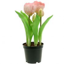 Tulpe im Topf Rosè Real-Touch 22,5cm