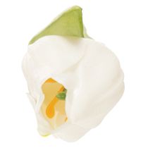 Artikel Künstliche Tulpen 21 cm Weiß 6er-Set Polyester und Kunststoff für Wohnraumdekoration
