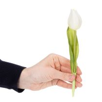 Artikel Künstliche Tulpen 21 cm Weiß 6er-Set Polyester und Kunststoff für Wohnraumdekoration