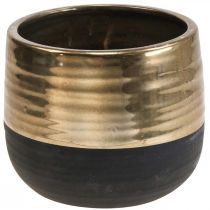 Übertopf Groß Keramik Schwarz Gold Blumentopf Ø20,5cm H18cm