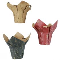 Übertopf Papier Sterne Rot/Anthrazit/Natur Ø4,5cm H6cm 9St