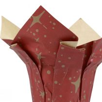 Artikel Übertopf Papier Sterne Rot/Anthrazit/Natur Ø4,5cm H6cm 9 St