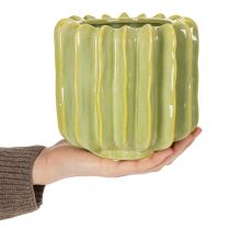Artikel Kaktus-Übertopf aus grüner Keramik 16cm