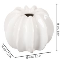 Artikel Kürbis-Dekovase Keramik weiß glänzend 19cm für Wohnzimmerdeko