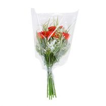 Artikel Verpackungstrichter B L35cm B30cm - 11cm 50St