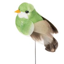 Artikel Dekovögel aus Schaumstoff mit bunten Federn 5 cm für Wohnraumdekoration, 18 Stück