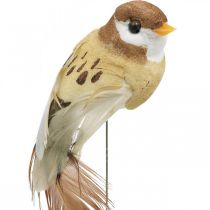 Frühlingsdeko, Minivögel, Dekovögel am Draht Braun, Beige H2,5cm 24St
