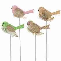 Deko Stecker Vogel Holz Grün, Rosa, Gelb, Orange sortiert 7cm x 4cm H24cm 16St