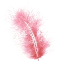 Artikel Vogelfedern Bastelfedern in Rosa Frühling Ostern 20g